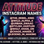 Attitude instagram names